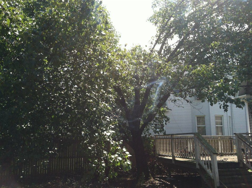 photo 319329_10151016924017285_1890123437_n.jpg